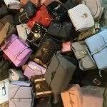 Swimwear Pallet